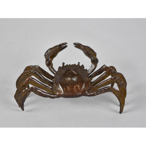 33 - A Large Oriental Patinated Bronze Study of a Crab with Claws Raised, 11.5cm Wide