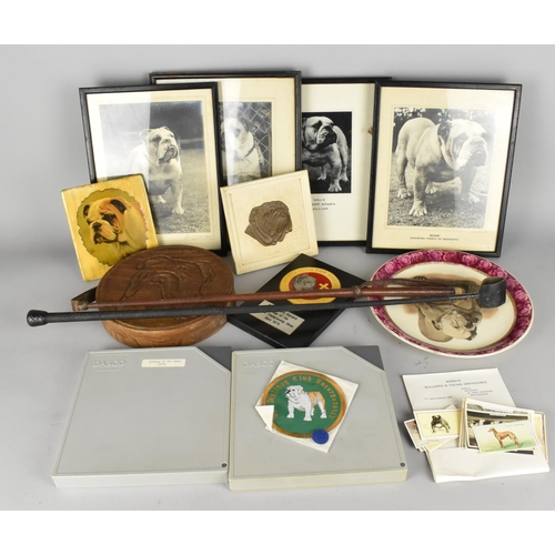 527 - A Collection of Items Relating to Bulldogs to Comprise Vintage Framed Photographs, 'Roger Champion P... 