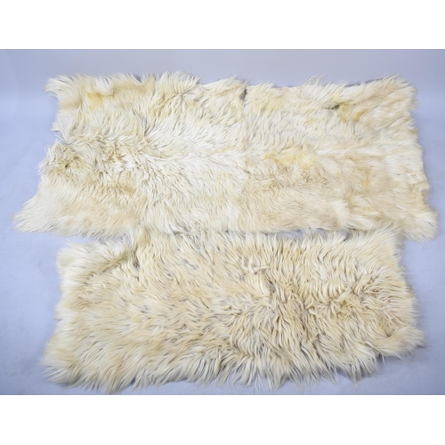 561 - Two Sheepskin Rugs, One 24x47cms and one 60x75cms