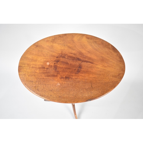 104 - An Edwardian Mahogany Oval Topped Tripod Wine Table, 53cms Wide and 76cms High