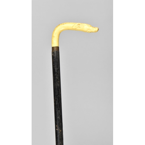 11 - An Early 20th Century Ebonized Child's Walking Cane with Celluloid Handle Modelled as Greyhound's He... 