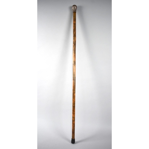 12 - A Late 19th/Early 20th Century Walking Cane with Engraved Silver Plate Mounted Top