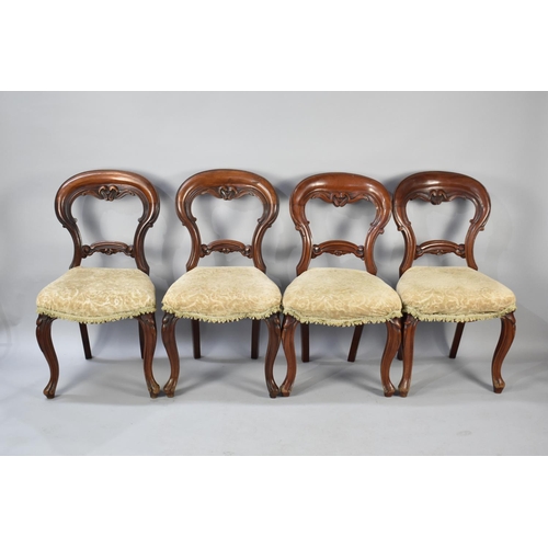 585 - A Set of Four Victorian Mahogany Framed Balloon Backed Dining Chairs