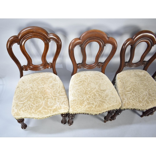 590 - A Set of Four Late Victorian Mahogany Framed Balloon backed Side Chairs