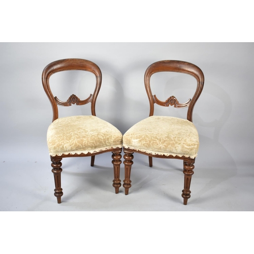 593 - A Pair of Victorian Mahogany Framed Balloon Back Dining Chairs