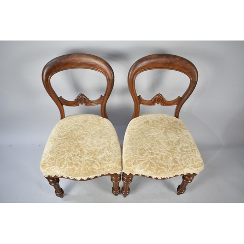 593 - A Pair of Victorian Mahogany Framed Balloon Back Dining Chairs