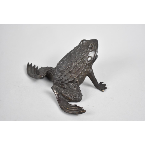 80 - A Large Patinated Bronze Study of a Toad, 16.5cms Wide