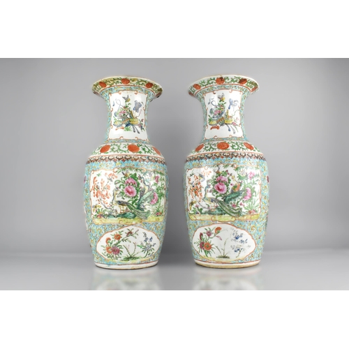 302 - A Pair of Chinese Qing Dynasty Porcelain Enamel vases Decorated with Bird and Flower Cartouches on B... 