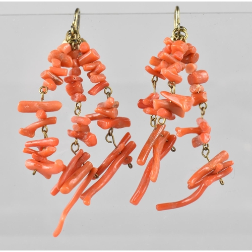 445 - A Pair of Raw Coral and Gold Screw Back Earrings