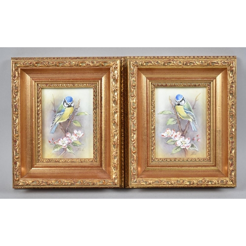 126 - A Pair of Gilt Framed Painted Porcelain Miniatures by R Poole, Painted for Royal Worcester, Depictin... 