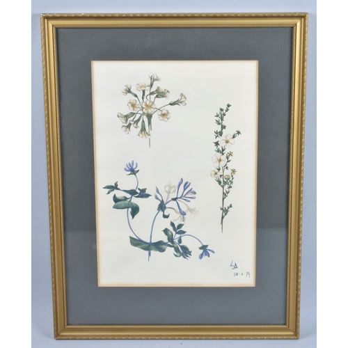 227 - A Framed Botanic Watercolour, 23x33cms