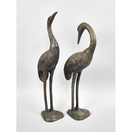 24 - A Pair of Modern Cast Metal Studies of Storks, 36cms High