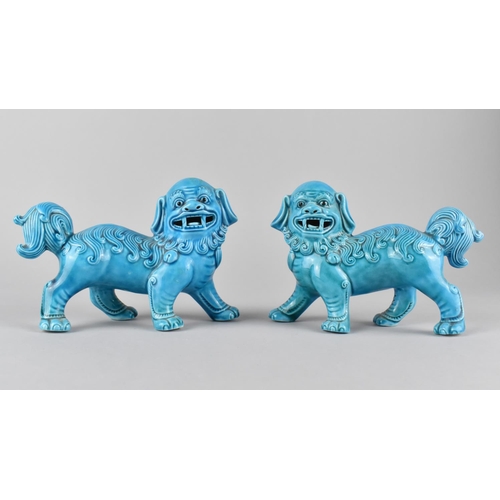 277 - A Pair of Chinese Porcelain Turquoise Glazed Studies of Temple Lions, 10.5cm high