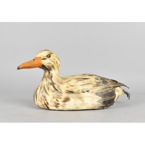 39 - A Late 20th Century Decoy Style Duck with Feathers, 28cms Long