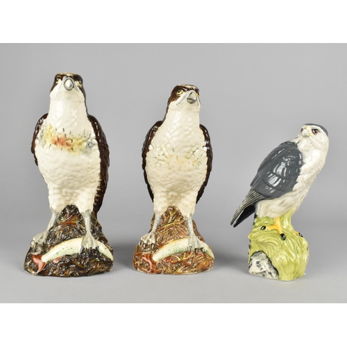 391 - Three Royal Doulton Whyte & Mackay Decanters (Empty) Modelled as Birds of Prey