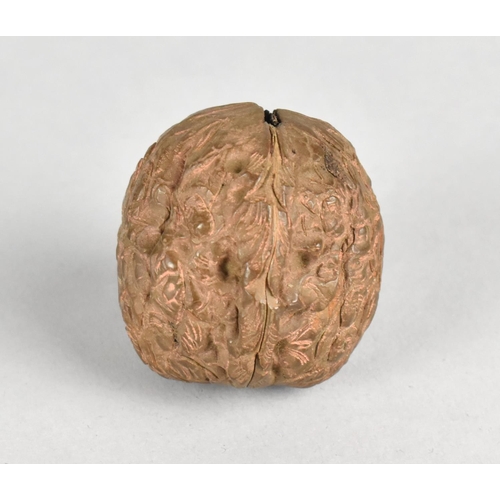 52 - An Oriental Carved Walnut Shell with the 