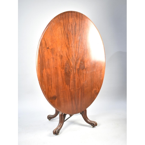 537 - A Late 19th Century Mahogany Oval Snap Top Occasional Table, 122cms by 86cms, Scrolled Feet