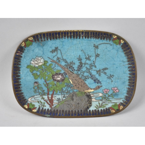 58 - A Cloisonne Enamel Oval Shallow Dish Decorated with Bird on Rock, 18.5 by 13cms