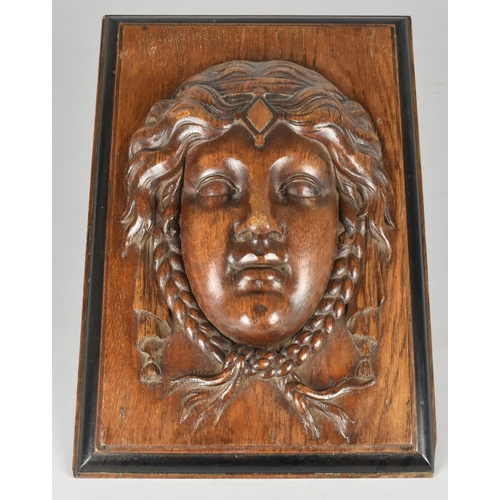 13 - A Nicely Executed Carved Continental Panel Depicting Maiden, 30.5cm X 20.5cm