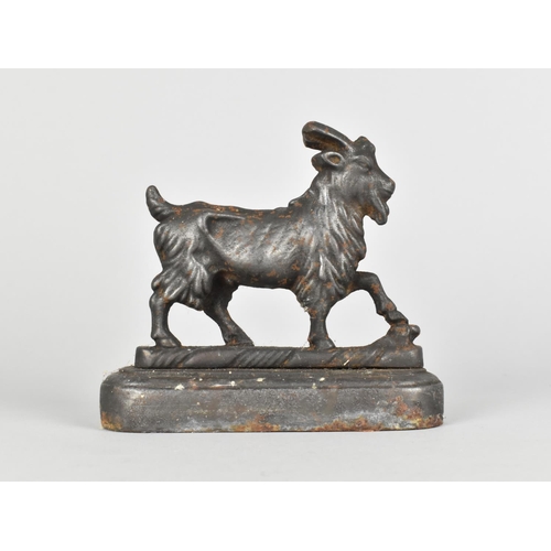 31 - A 19th Century Cast Iron Door Stop in the Form of A Billy Goat on Oval Plinth Base, 14cm Wide