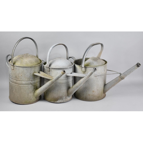 431 - Three Galvanized Watering Cans