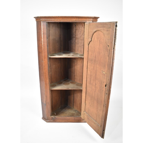 467 - A 19th Century Narrow and Tall Oak Wall Hanging Corner Cabinet, 59cm wide and 111cm high