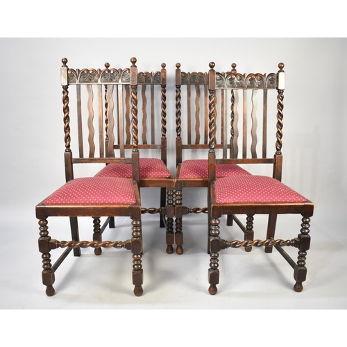 501 - A Set of Edwardian Oak Barley Twist Dining Chairs