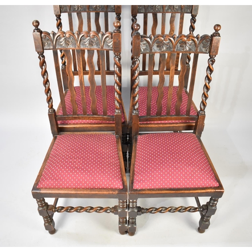 501 - A Set of Edwardian Oak Barley Twist Dining Chairs