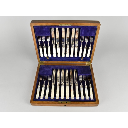 28 - A Late Victorian/Edwardian Oak Cased Set of Twelve Mother of Pearl Handle Fruit Knives and Forks wit... 