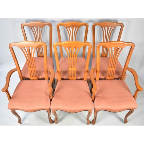 511 - A Modern Set of Six Dining Chairs with Pierced Splats and Two Include Two Carvers