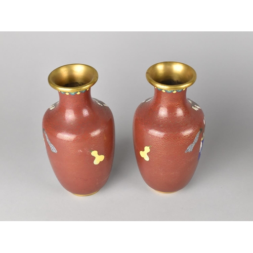 57 - A Pair of Chinese Cloisonne Enamel Vases, 17cms High