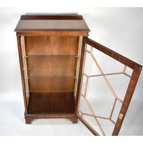 489 - A Mid 20th Century Mahogany Astragal Glazed Display Cabinet with Galleried Back and Two Glass Shelve... 