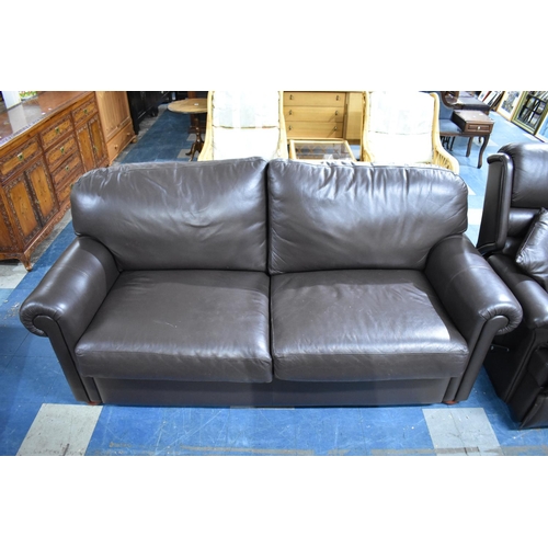 503 - A Modern Leather Effect Two Seater Settee and a Three Seater Bed Settee