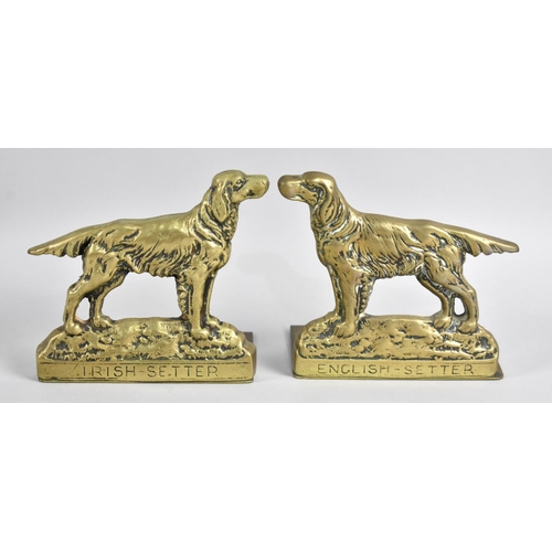 49 - A Pair of Brass Doorstops, Irish Setter and English Setter, 14cm Long