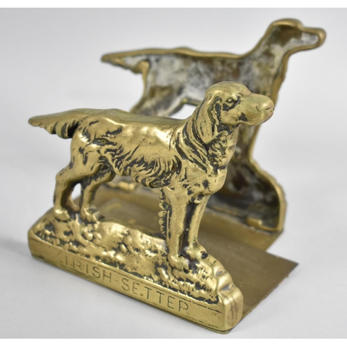 49 - A Pair of Brass Doorstops, Irish Setter and English Setter, 14cm Long