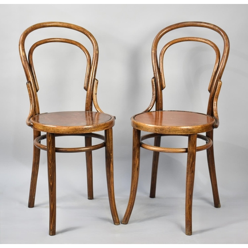 528 - A Pair of Circular Seated Bentwood Side Chairs