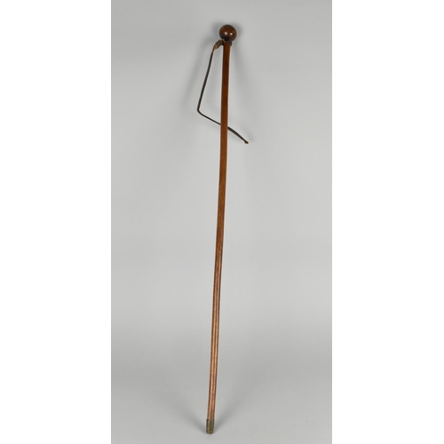 67 - A 19th Century Walking Stick With Knobkerrie Style Handle