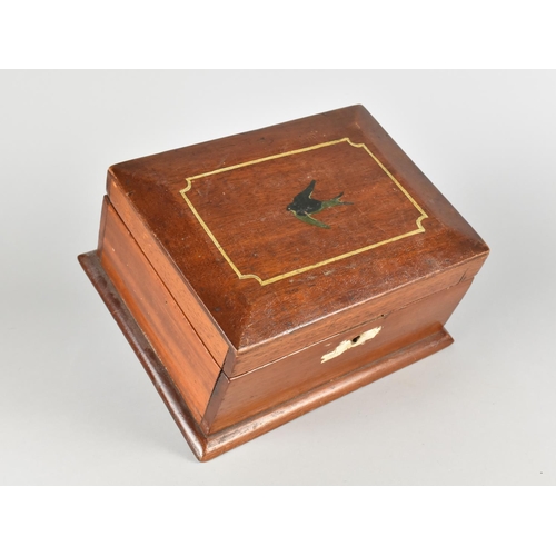 8 - A Late 19th/Early 20th Century Mahogany Box with Hand Painted Swallow to Hinged Lid, 25cm Wide