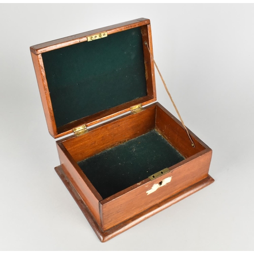 8 - A Late 19th/Early 20th Century Mahogany Box with Hand Painted Swallow to Hinged Lid, 25cm Wide