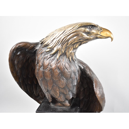 46 - A Late 20th Century American Bronze Study of  Perched Bald Eagle, After Dr R Taylor, 'Vigilance', Pr... 