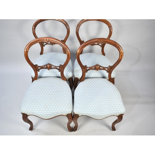 563 - A Set of Four Victorian Walnut Framed Balloon Backed Ladies Salon Chairs