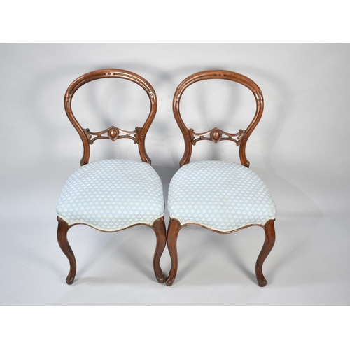 563 - A Set of Four Victorian Walnut Framed Balloon Backed Ladies Salon Chairs