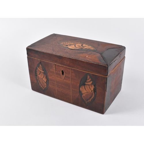 6 - An Early/Mid 19th Century Inlaid Two Division Tea Caddy with Shell Decoration, 20.5cms Wide