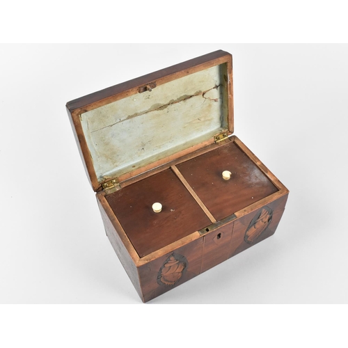 6 - An Early/Mid 19th Century Inlaid Two Division Tea Caddy with Shell Decoration, 20.5cms Wide