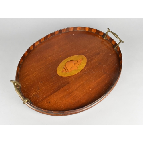 70 - A Late 19th Century Inlaid Oval Tray with Gallery and Two Brass Carrying Handles, Shell Decoration, ... 