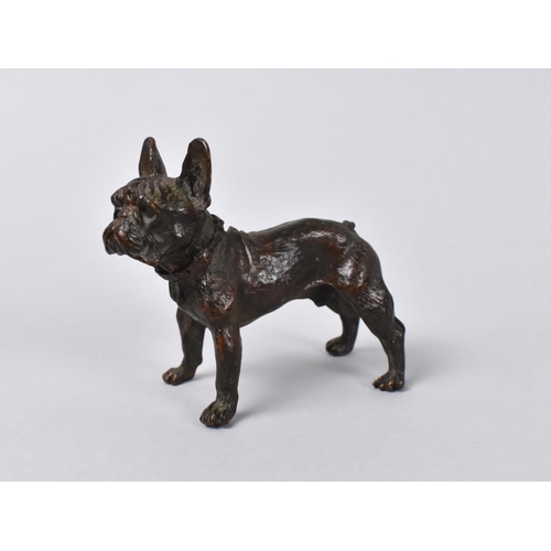 98 - A Patinated Bronze Study of a Bulldog, 7cms Long