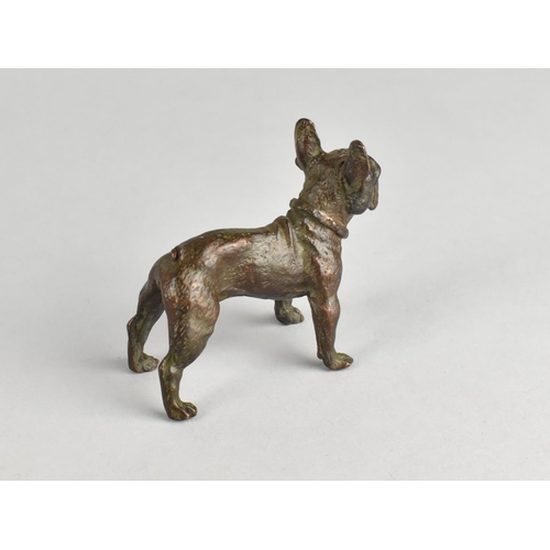 98 - A Patinated Bronze Study of a Bulldog, 7cms Long