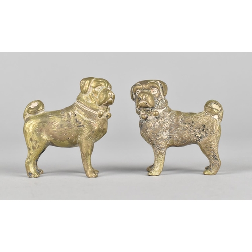 42 - A Pair of Brass Pug Dogs, 5cms Long