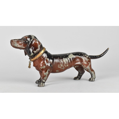 43 - A Continental Cold Painted Spelter Novelty Table Top Lighter in the Form of a Daschund with Glass Ey... 