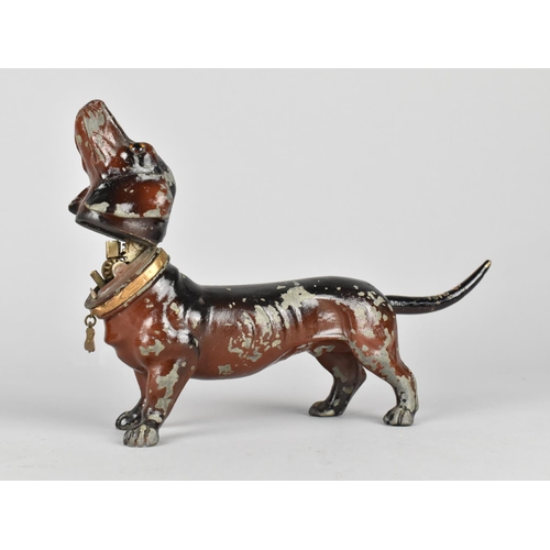 43 - A Continental Cold Painted Spelter Novelty Table Top Lighter in the Form of a Daschund with Glass Ey... 